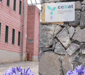 imagen del edificio de ccbat